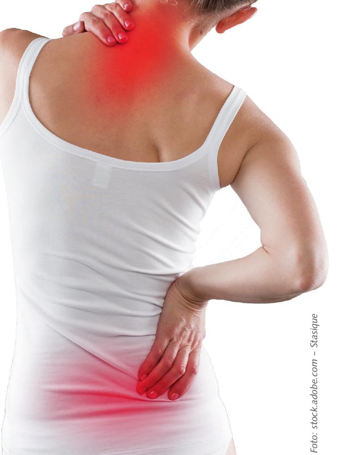 EIN GANZHEITLICHES ORTHOPÄDISCHES KONZEPT FÜR RÜCKENLEIDEN Image 1 EIN GANZHEITLICHES ORTHOPÄDISCHES KONZEPT FÜR RÜCKENLEIDEN Image 1